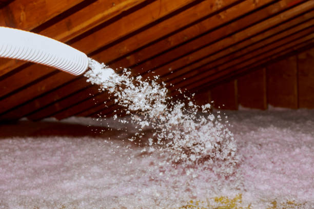 Best Insulation Materials and Products in Agler Beach, FL