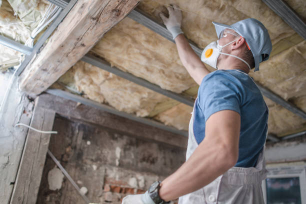 Best Insulation Maintenance and Repair in Agler Beach, FL