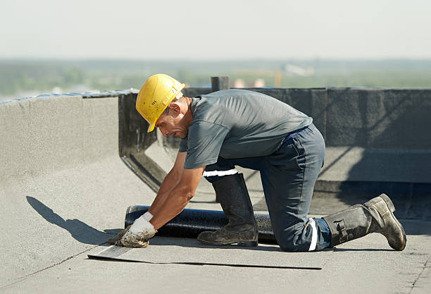 Best Types of Insulation in Agler Beach, FL