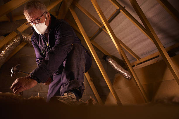 Best Insulation for Specific Applications in Agler Beach, FL